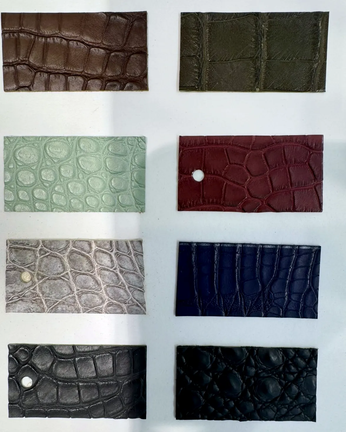 A swatch card of crocodile leather in eight colours